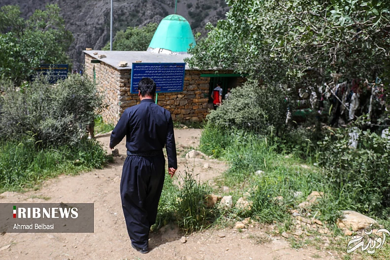 (تصاویر) مراسم آیینی کومسای در هورامان کردستان